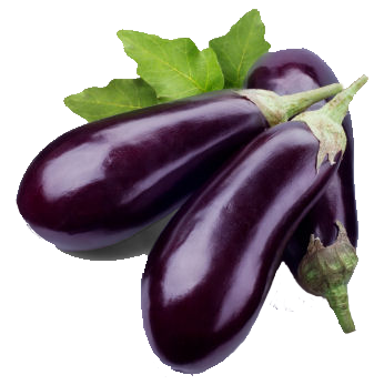 Aubergine TR Beutel