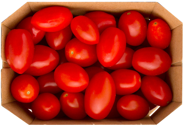 Tomaten Cherry Schale
