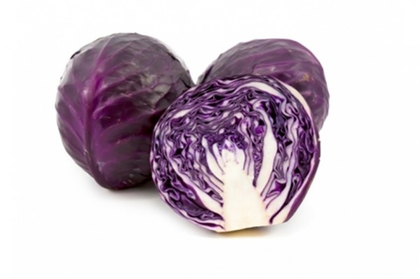 Rotkohl 25 Kg