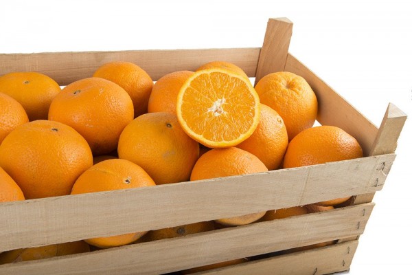 Orangen Press Kiste 15Kg