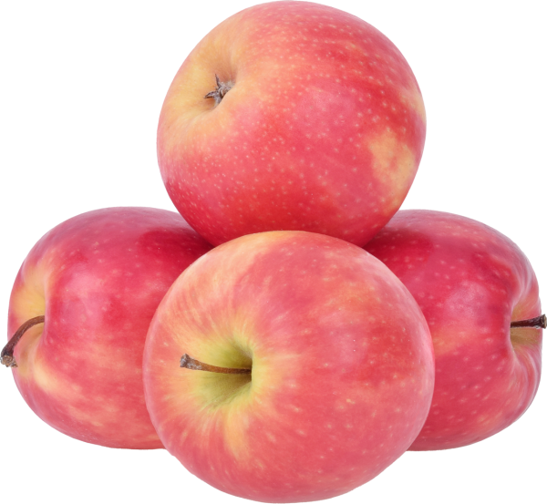 Apfel Pink Lady KG