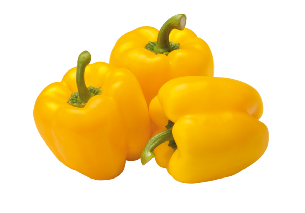 Gelb Hol Paprika - Sari Dolmalik Biber HKL 1 - IT - KG/€