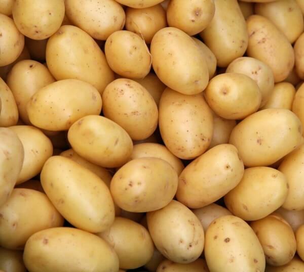 Frühkartoffel - Erken Patates KG / €