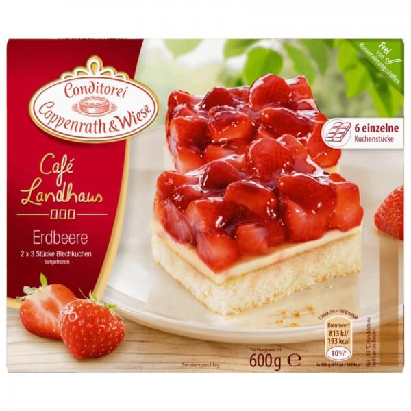 C&W Erdbeer Joghurt Fein & Sahnig 600g