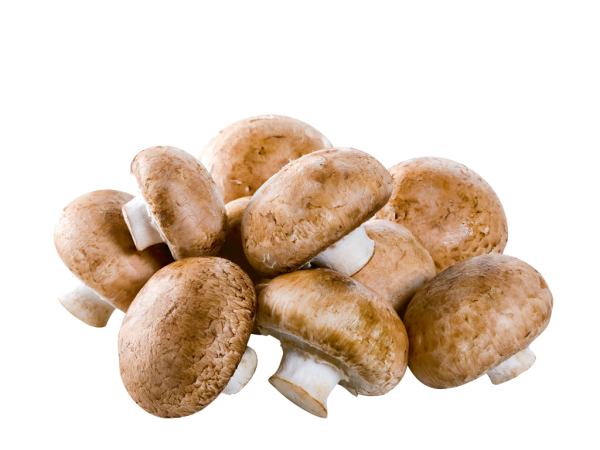 Champignons Gross Schale