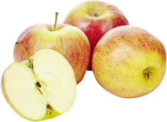 Apfel Jonagold - Jonagold Elma (HKL 1 - IT) KG / €