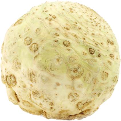 Knollensellerie Kereviz KG