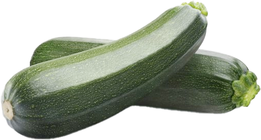 Zucchini Grün - Yesil Kabak HKL 1 - ESP KG / €