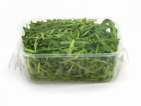 Rucola schale