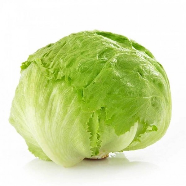 Salat Eisberg STK