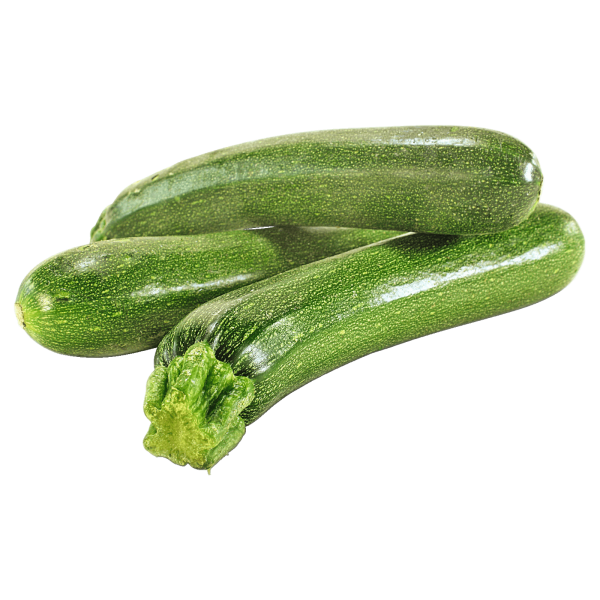 Zucchini KG