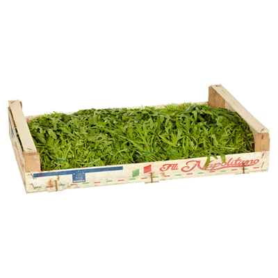 Rucola Kiste