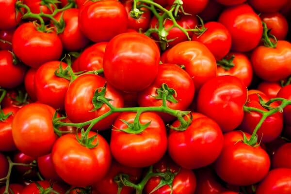 Strauchtomaten - Asma Domates HKL 1 - TR KG / €