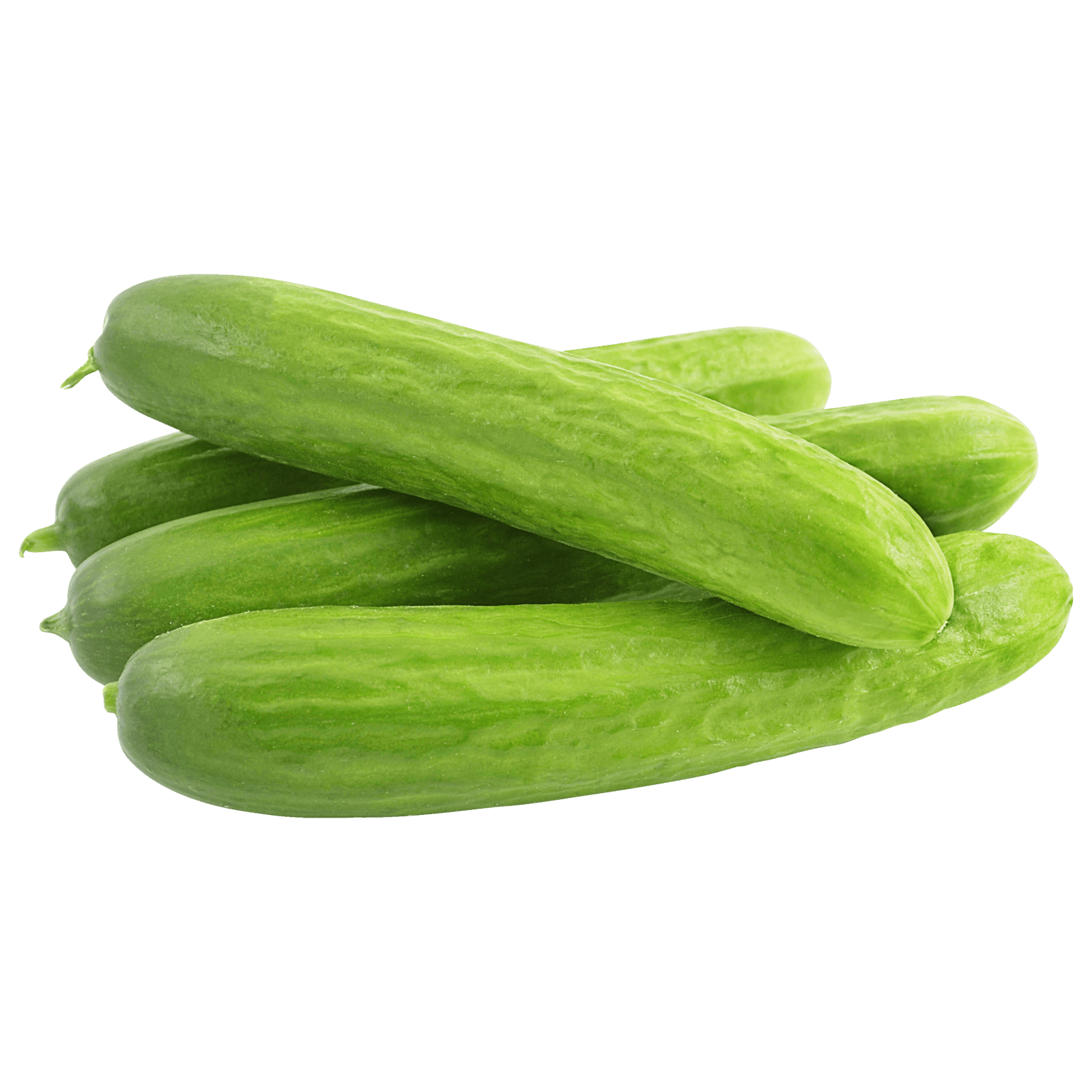 Gurke Mini KG Gemüse Obst & Gemüse DerLieferExperte
