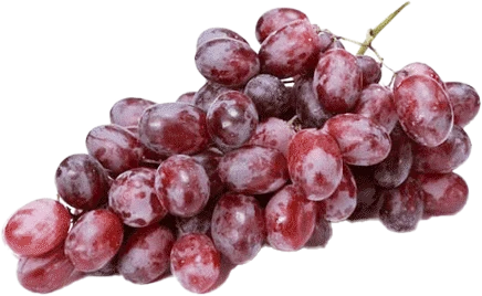 Weintrauben Kernlos KG